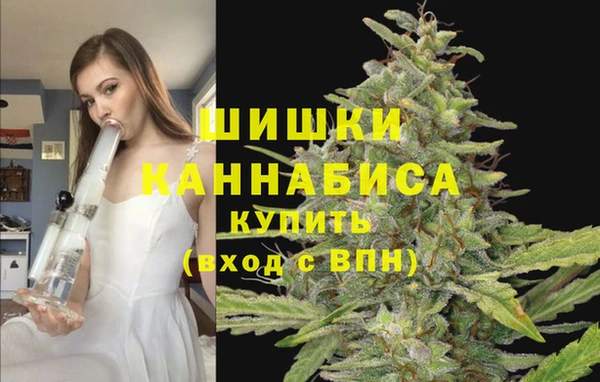 бошки Верея