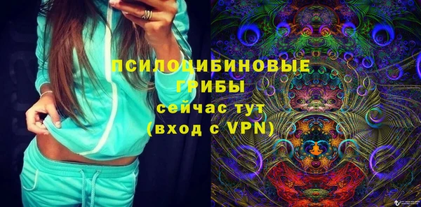 бошки Верея
