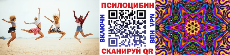 дарнет шоп  Краснообск  Псилоцибиновые грибы Psilocybine cubensis 